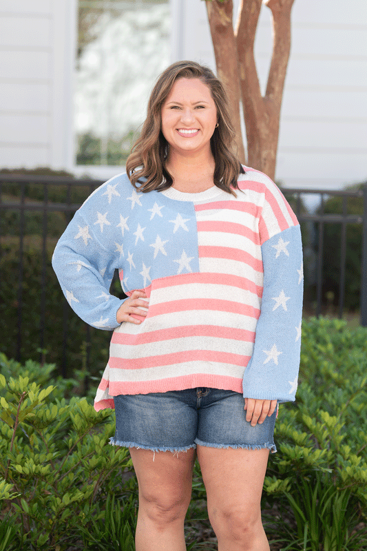 Muted Patriotic Top